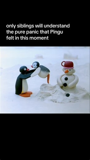 Pingu on Instagram: "& it always happened when you were in charge #pingu #siblings #nootnoot #nostalgia"