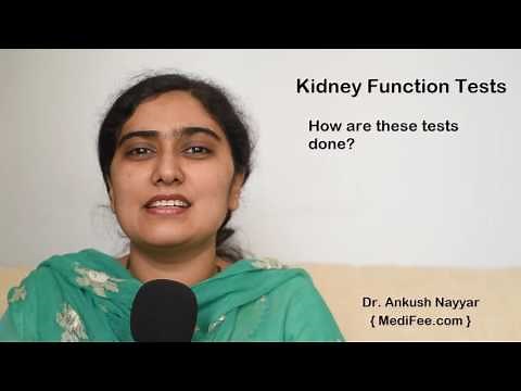 Kidney Function Tests (KFT) - An Overview