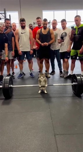 Real or AI? Discover Sora AI's Magic on Film Sets