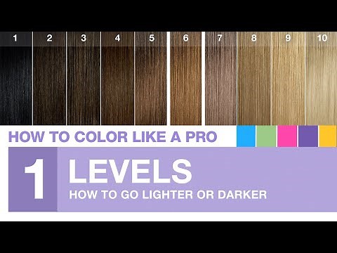 Chapter 1: Professional Hair Color Levels Explained