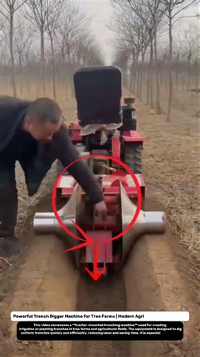Powerful Trench Digger Machine for Tree Farms | Modern Agricultural Technology.