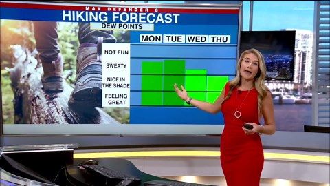 News Channel 8 Today at 4:30