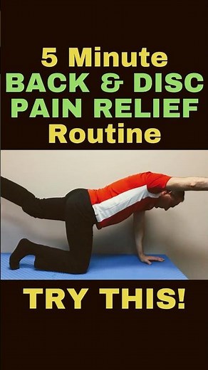 5 Minute Exercise Routine for Back Pain and Disc Pain Relief (L4-L5 Disc Bulge) | Dr. Walter Salubro