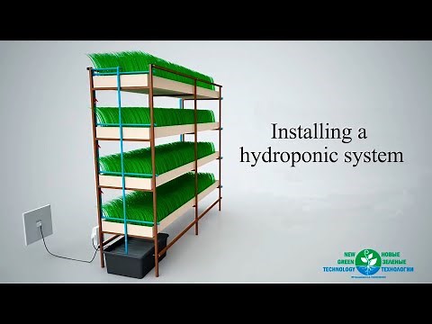 Installing The Hydroponic System