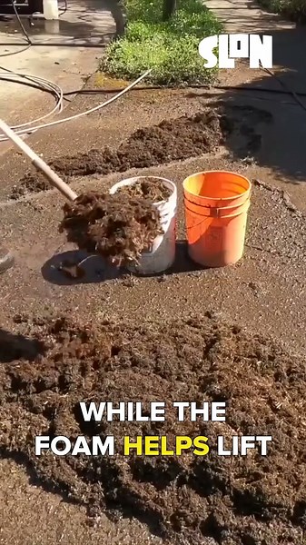 DIY Gutter Cleaner: Dish Soap Works Better Than Expensive Products