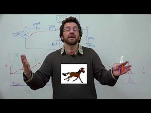 DIAC: Una aplicación preciosa.