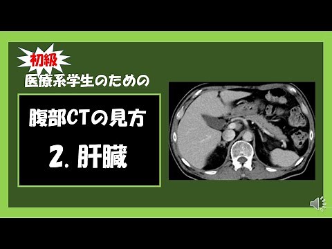 [Medical Students] Abdominal CT for Beginners 2. Liver