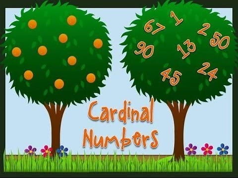 Cardinal Numbers: English Vocabulary