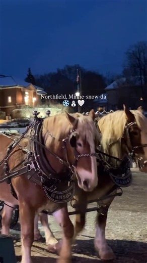 St. Olaf College on Instagram: "The coziest time of year in Northfield, Minne-snow-da ❄️ 📍Northfield, Minnesota St. Olaf is proud to help sponsor the City of Northfield’s 27th Annual Winter Walk! 📹 Mary Staplin ‘26"