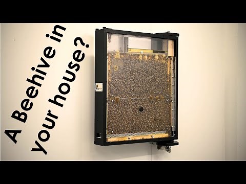 SpyHive™ - A New Generation Observation Beehive