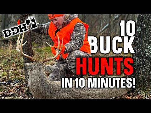10 Whitetail Buck Hunts in 10 Minutes!