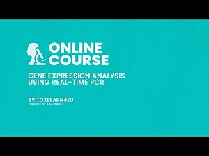 How to Analyze qPCR Data Step by Step