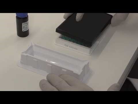 How to Run an ELISA Assay – Invitrogen Kit Step-by-Step Tutorial
