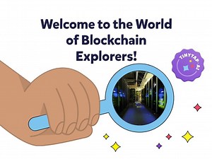 Tiny Explorers of Blockchain
