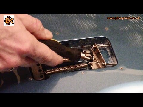 Tremolo Setup - Strings vs Springs