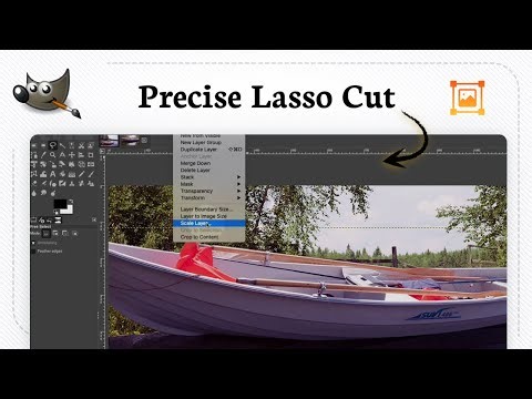 How to use lasso tool in GIMP (Shape Precision)