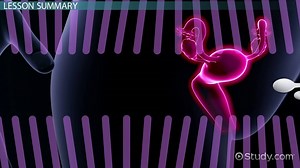 You must c C reate an account to continue watching