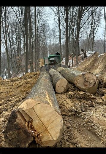 🫏❤️#fypシ #šuma #forestry #timberjack #woodworking #timberjack450c