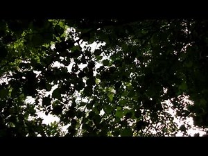 Dramatic Instrumental Music