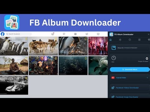 How to bulk download FB album photos in one-click?