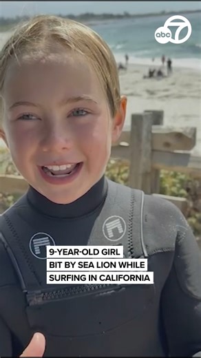 A 9-year-old surfer is recovering after surviving a sea lion attack in the waters off Monterey County, California. Corale Olsen was in the ocean during surf camp with her brother and sister when she saw the sea lion nearby. "The sea lion went under my instructor's leg and it came up to me and bit me, and then I got dragged underwater," she says.https://abc7news.com/17430639/ | ABC7 News