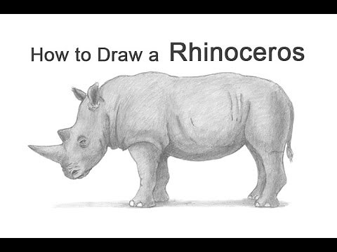 How to Draw a Rhinoceros