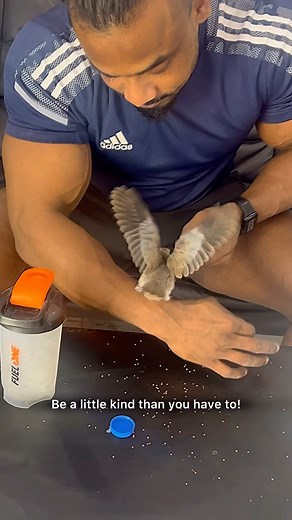 Be a little kind than you have to🔥🙏🏾 . . . . . . . #samtrainer #personaltrainer #bodybuingcoach #bodybuilder #shredding #muscle #gymlife #bestbeast #gymtrainer #competition #gymlifestyle #gymaddict #veins #veinspoppin #reeltoreel #reelkarofeelkaro #reelit #reelsviral #reelsviralvideo #reelsinstagram #reelindiaoffical #reeindia #photography #explore #instagram #fitness #healthy #uae #SHARJAHUAE #dubai | Samfitness.fb