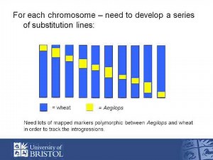 A public Axiom SNP chip for wheat (and its wild relatives)