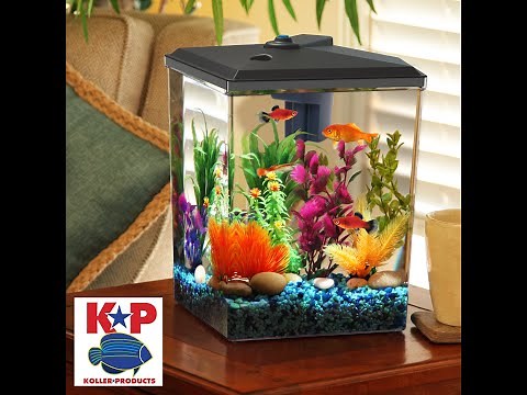 Setting Up Your Fish Tank, 1-Gallon and 2.5-Gallon