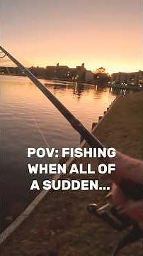 Watch your fingers!!! - Careful now | Snapping Turtle Encounter