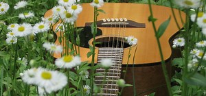 10 Beginner 12 String Guitar Songs - Happy New Guitar Day