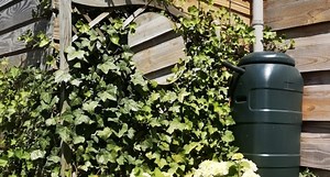 Gutter Drainage Solutions and Prevention Tips