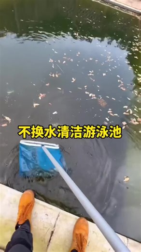 泳池清洁和维护方法分享 | 解压方式大公开