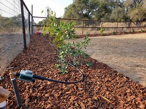 How to Connect Drip Irrigation to a Hose Bibb (Spigot or Faucet)