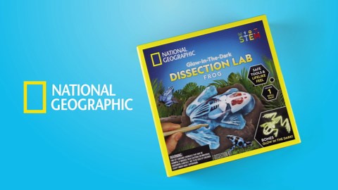 NATIONAL GEOGRAPHIC Frog Dissection Kit Anatomy Lab - Glow in the Dark Synthetic Frog Dissecting Science Lab for Kids with Dissecting Tools, Glowing Bones & Realistic Organs, Science Toys, Biology Kit