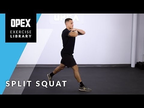 Split Squat