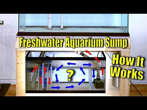 Aquarium Sump Explained: Ultimate Guide on How Aquarium Sumps Work