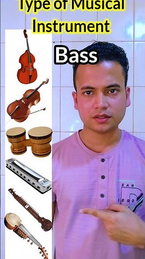 Types of Musical Instruments