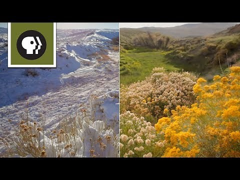 Spring Timelapse