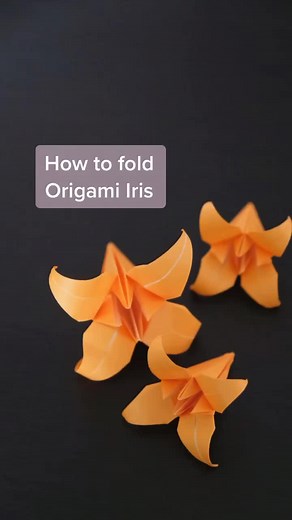 Traditional Origami Iris Tutorial
