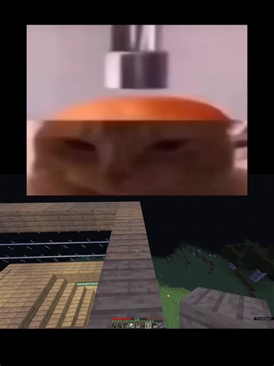 #invincible #thebrokenscript #minecraft