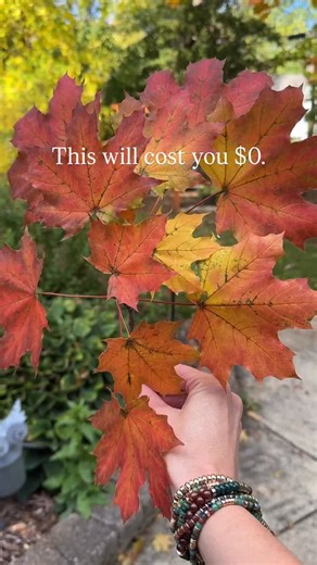 4.4K views · 121 reactions | The type of home decor Amazon hates. No...