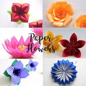 2.7M views · 43K reactions | 8 Easy Paper Flowers Instagram: https://www.instagram.com/ventunoart | Art All The Way | Facebook