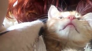 7.2K views · 306 reactions | Take one crazy cat lady and one very needy kitten...❤️ | Ruby Robin Boutique | Facebook