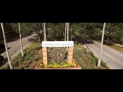 USF Tampa Campus | University of South Florida