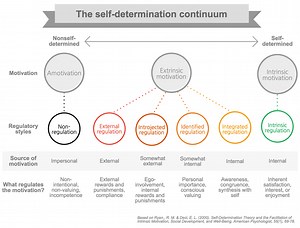 Self-determination theory