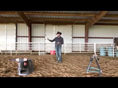 Introduction to Team Roping Part 7: Practicing Positions