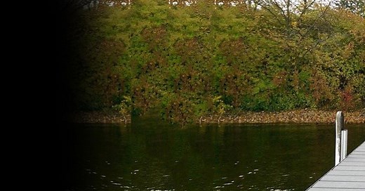 Freshwater Fishing for Beginners