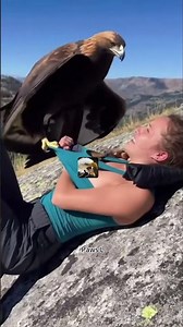 Fictional Stunt | AI Concept: Terrifying Reminder of Bird of Prey Danger! #Shorts #EagleSafety #VFX