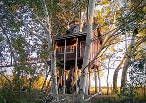 Top 10 Treehouse Rentals in Utah (2022 Edition) | Treehouse Trippers